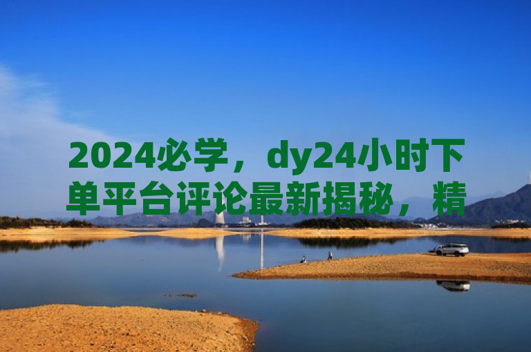 2024必学，dy24小时下单平台评论最新揭秘，精彩解析尽在此处！