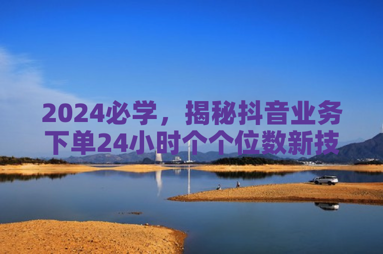 2024必学，揭秘抖音业务下单24小时个个位数新技巧！