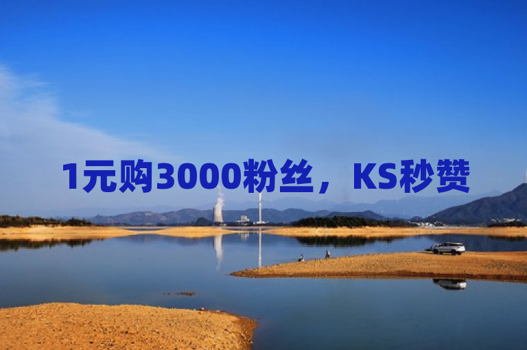 1元购3000粉丝，KS秒赞5000，不掉粉技巧揭秘。