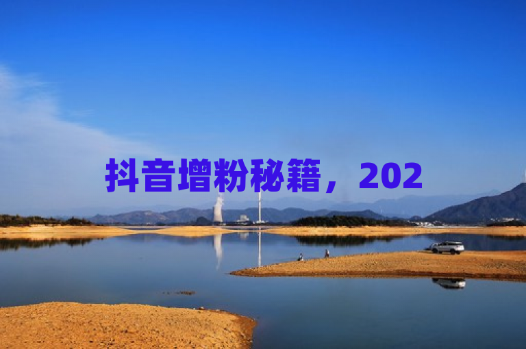 抖音增粉秘籍，2025必学，独家揭秘充粉技巧！