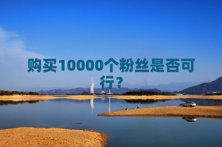 购买10000个粉丝是否可行？