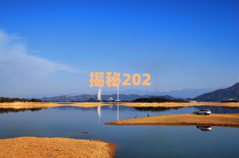 揭秘2025必学，成为刷粉网站代理商的独家策略。