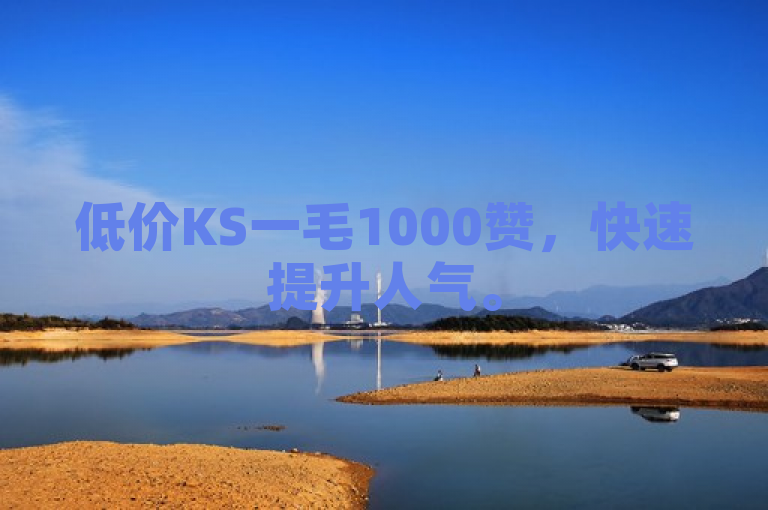 低价KS一毛1000赞，快速提升人气。