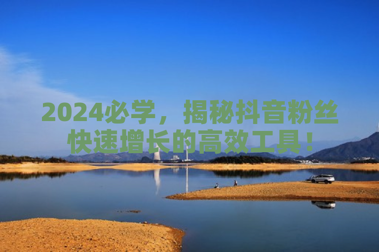 2024必学，揭秘抖音粉丝快速增长的高效工具！