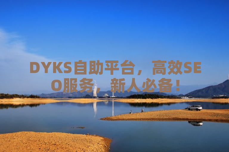 DYKS自助平台，高效SEO服务，新人必备！