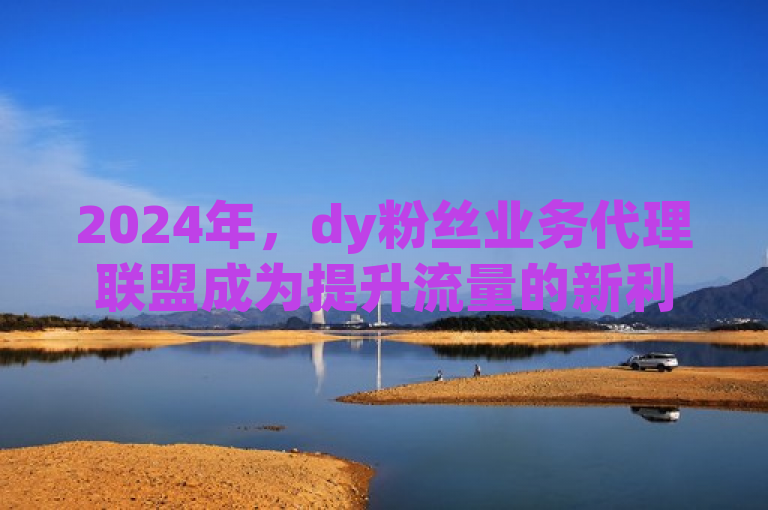 2024年，dy粉丝业务代理联盟成为提升流量的新利器。