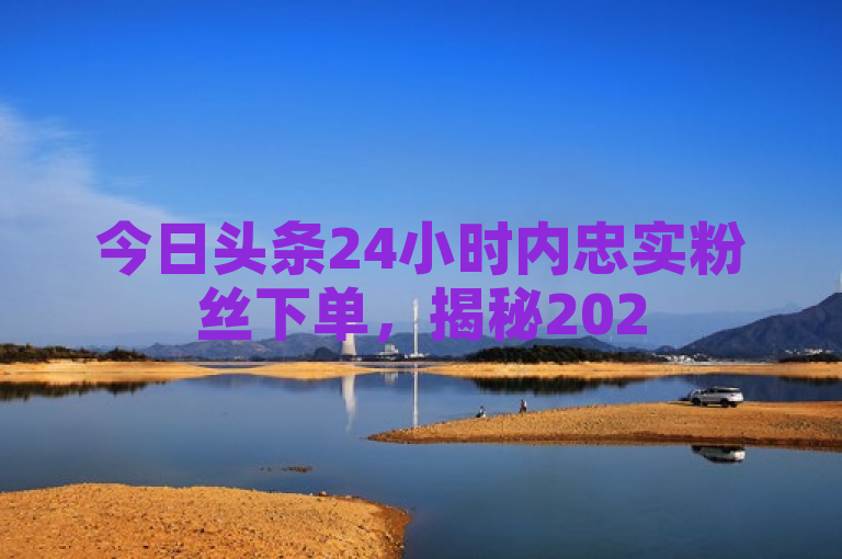 今日头条24小时内忠实粉丝下单，揭秘2025必学趋势。