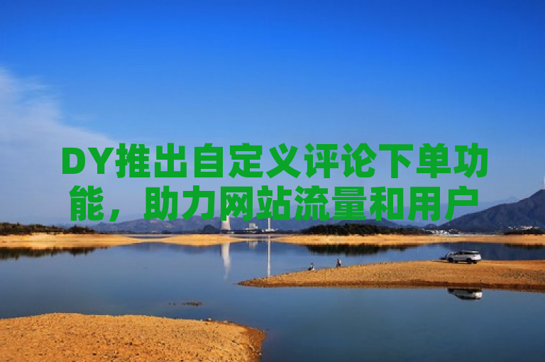 DY推出自定义评论下单功能，助力网站流量和用户互动显著提升。