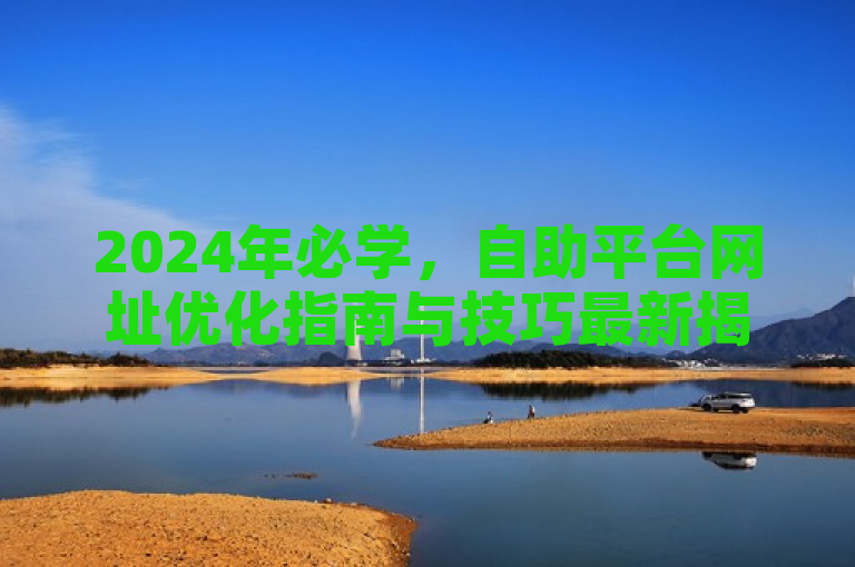 2024年必学，自助平台网址优化指南与技巧最新揭秘！