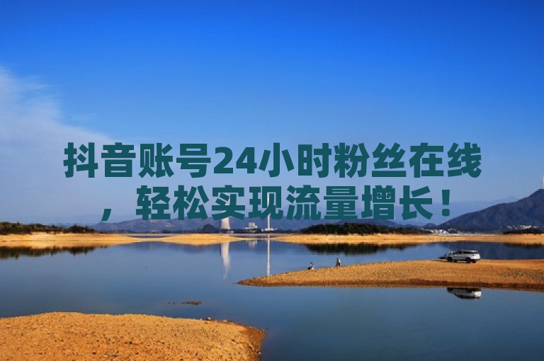 抖音账号24小时粉丝在线，轻松实现流量增长！