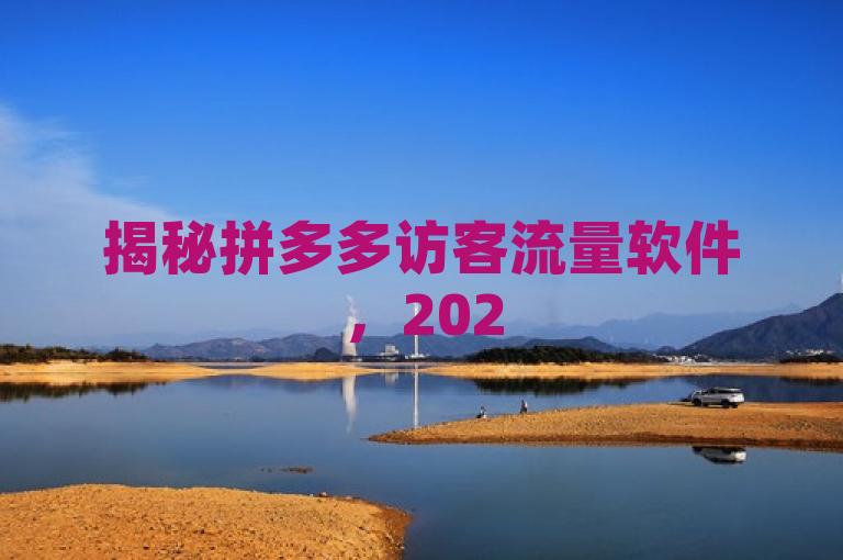 揭秘拼多多访客流量软件，2025必学提升流量技巧！