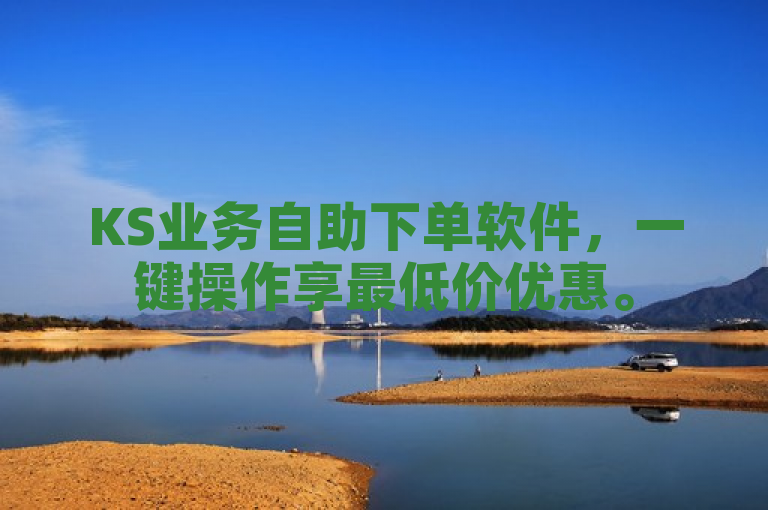 KS业务自助下单软件，一键操作享最低价优惠。