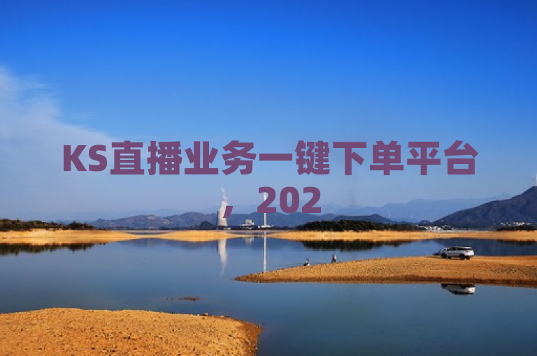 KS直播业务一键下单平台，2025必学！