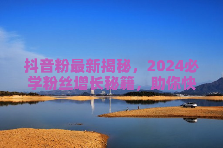 抖音粉最新揭秘，2024必学粉丝增长秘籍，助你快速提升人气！