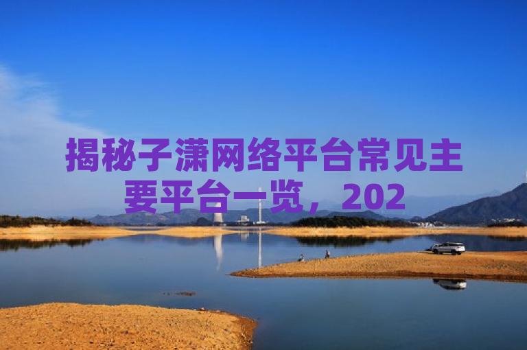 揭秘子潇网络平台常见主要平台一览，2025必学内容。