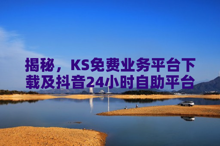 揭秘，KS免费业务平台下载及抖音24小时自助平台详情