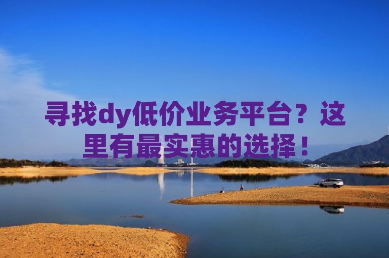 寻找dy低价业务平台？这里有最实惠的选择！