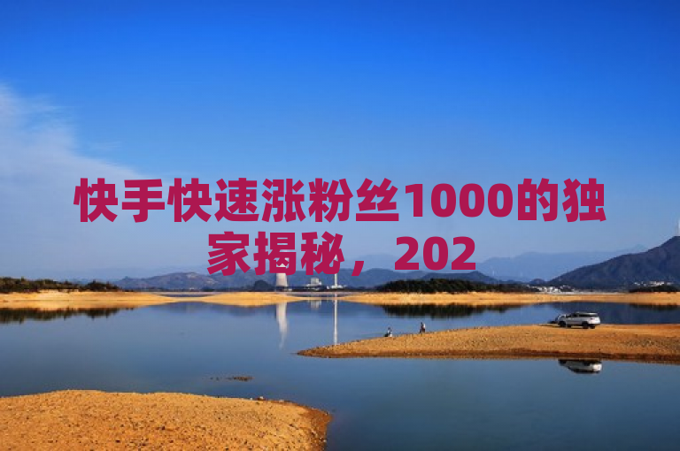 快手快速涨粉丝1000的独家揭秘，2025必学的涨粉方法！