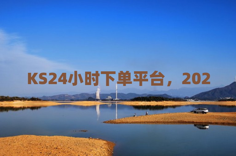 KS24小时下单平台，2025必学，提供24小时快速下单服务！