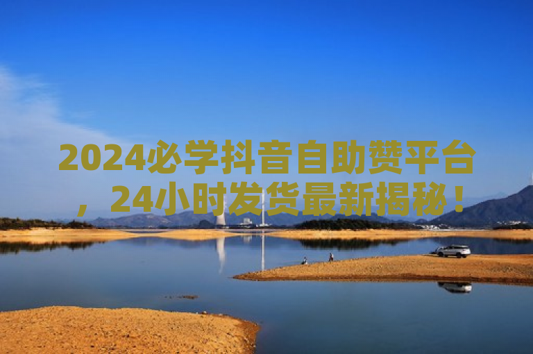 2024必学抖音自助赞平台，24小时发货最新揭秘！