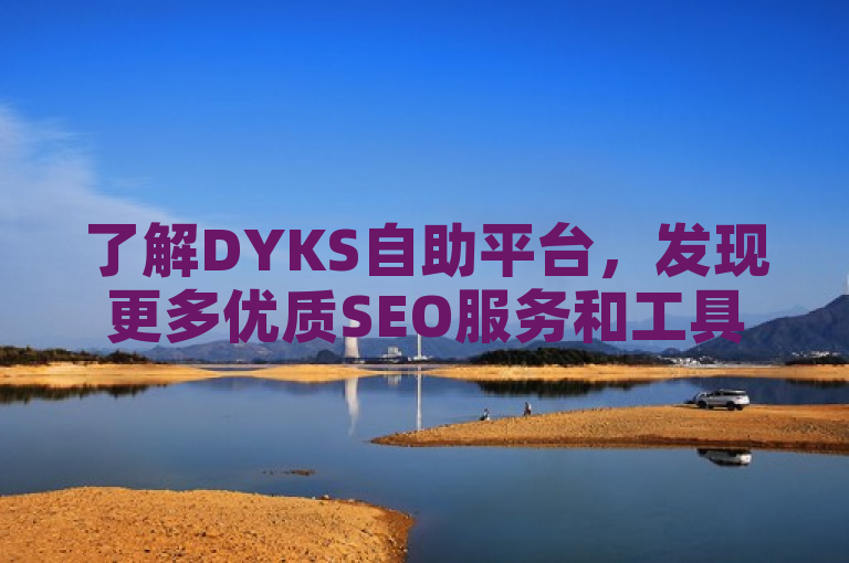 了解DYKS自助平台，发现更多优质SEO服务和工具