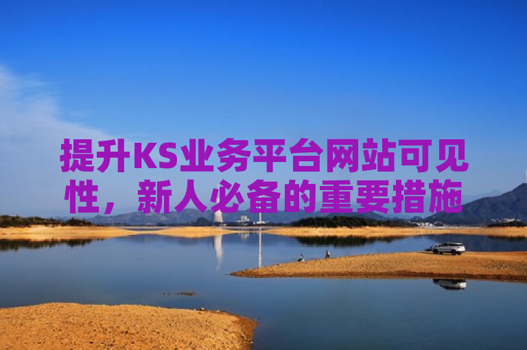 提升KS业务平台网站可见性，新人必备的重要措施！