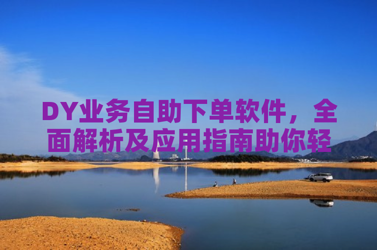 DY业务自助下单软件，全面解析及应用指南助你轻松掌握。