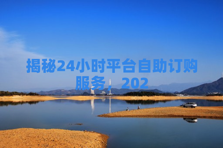 揭秘24小时平台自助订购服务，2025必学技能！