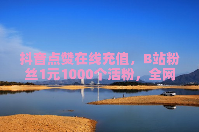 抖音点赞在线充值，B站粉丝1元1000个活粉，全网最低价货源。