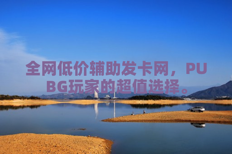 全网低价辅助发卡网，PUBG玩家的超值选择。