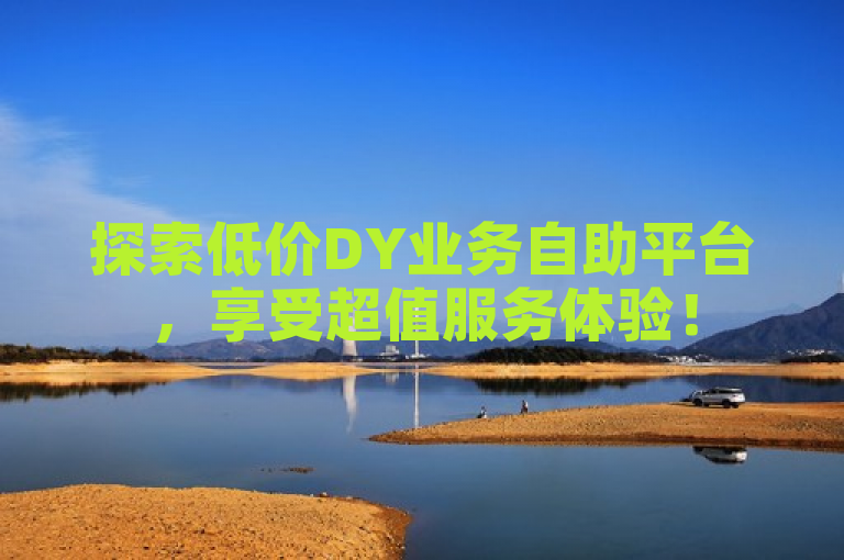 探索低价DY业务自助平台，享受超值服务体验！