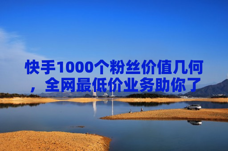 快手1000个粉丝价值几何，全网最低价业务助你了解。