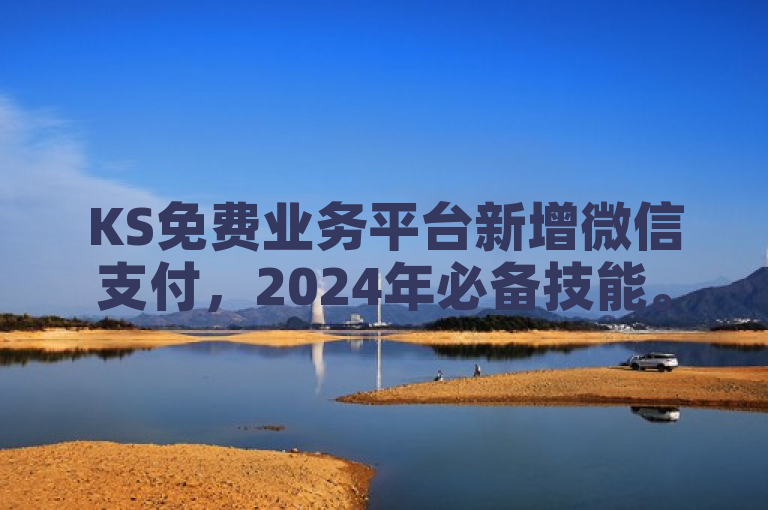 KS免费业务平台新增微信支付，2024年必备技能。