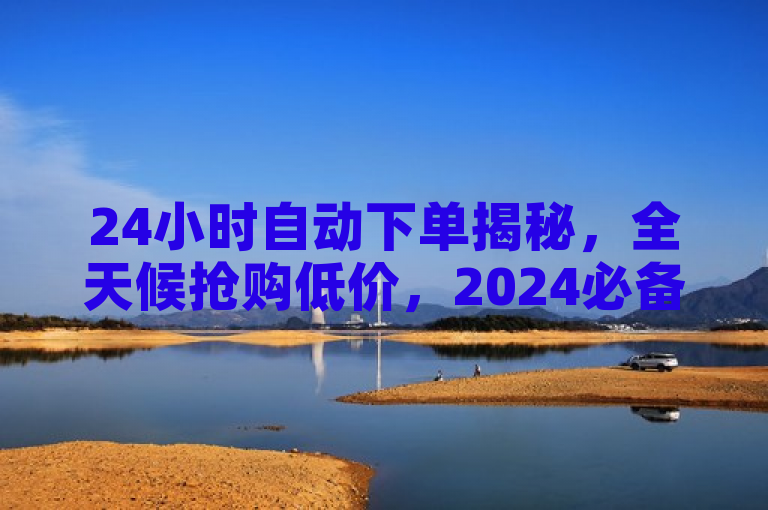 24小时自动下单揭秘，全天候抢购低价，2024必备技能！