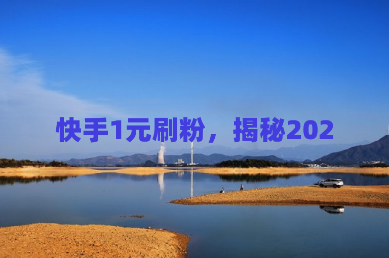 快手1元刷粉，揭秘2025年免费获万粉技巧！