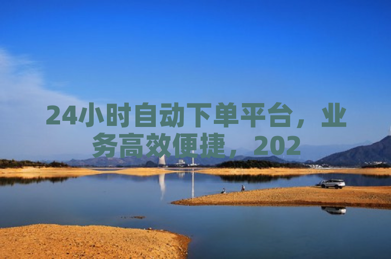 24小时自动下单平台，业务高效便捷，2025年必备技能。