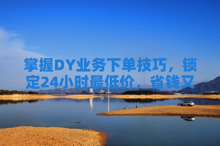 掌握DY业务下单技巧，锁定24小时最低价，省钱又省心。