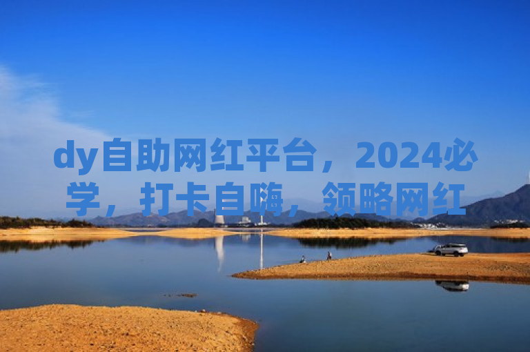 dy自助网红平台，2024必学，打卡自嗨，领略网红魅力！