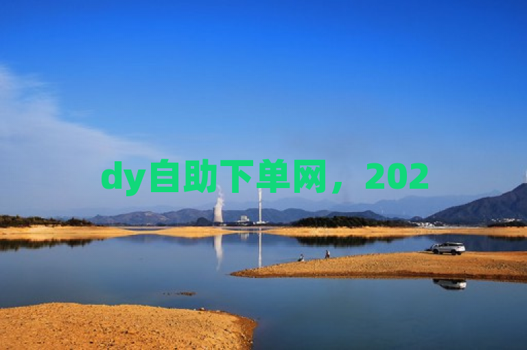 dy自助下单网，2025年必学的便捷服务全攻略，独家揭秘！