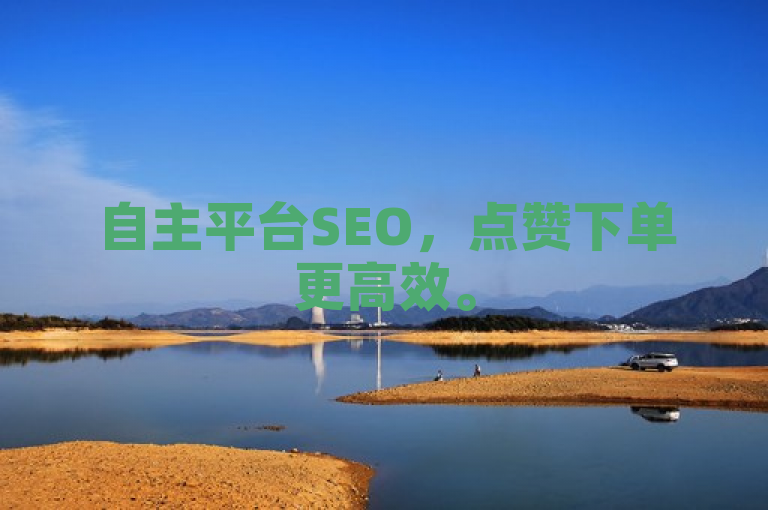 自主平台SEO，点赞下单更高效。