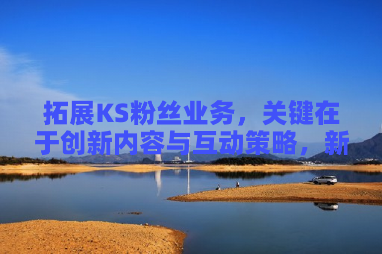 拓展KS粉丝业务，关键在于创新内容与互动策略，新人必备！