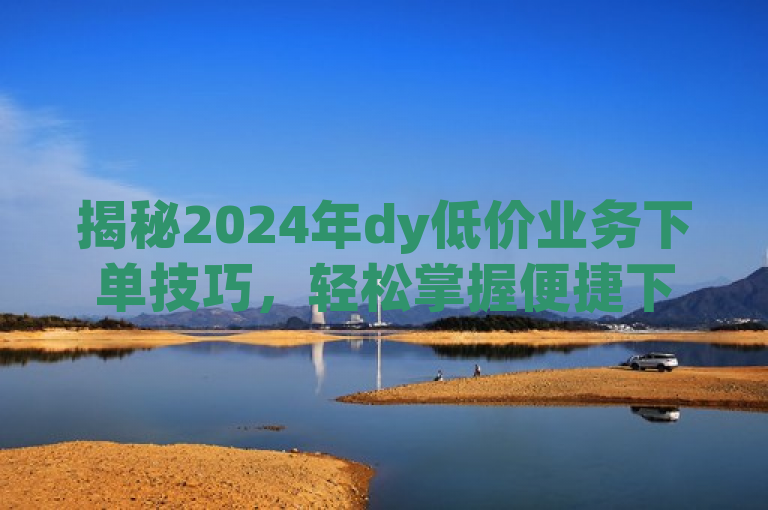 揭秘2024年dy低价业务下单技巧，轻松掌握便捷下单攻略！