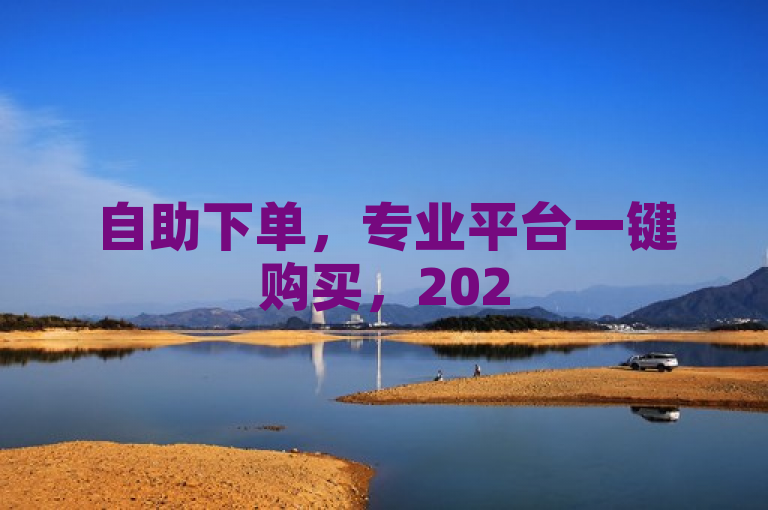 自助下单，专业平台一键购买，2025必学！