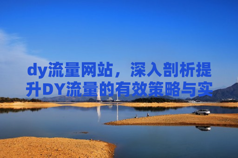 dy流量网站，深入剖析提升DY流量的有效策略与实用技巧。