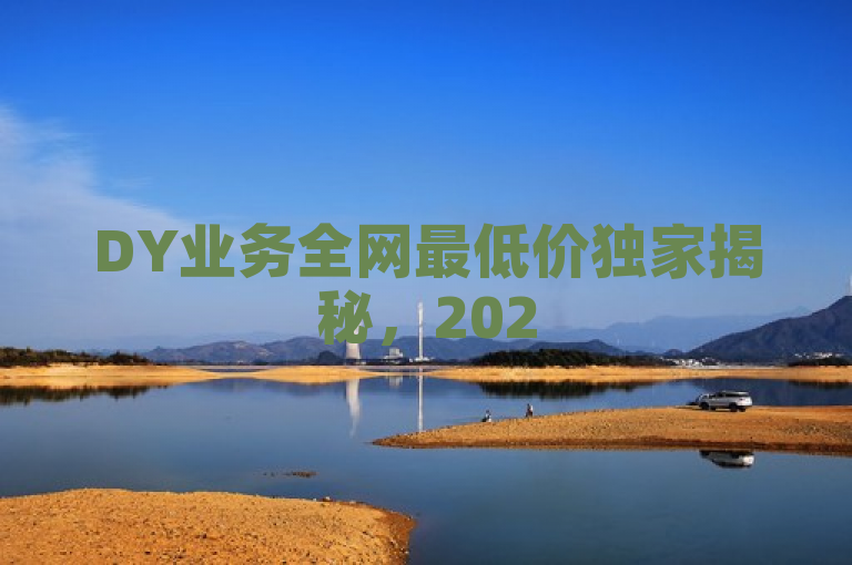 DY业务全网最低价独家揭秘，2025必学！