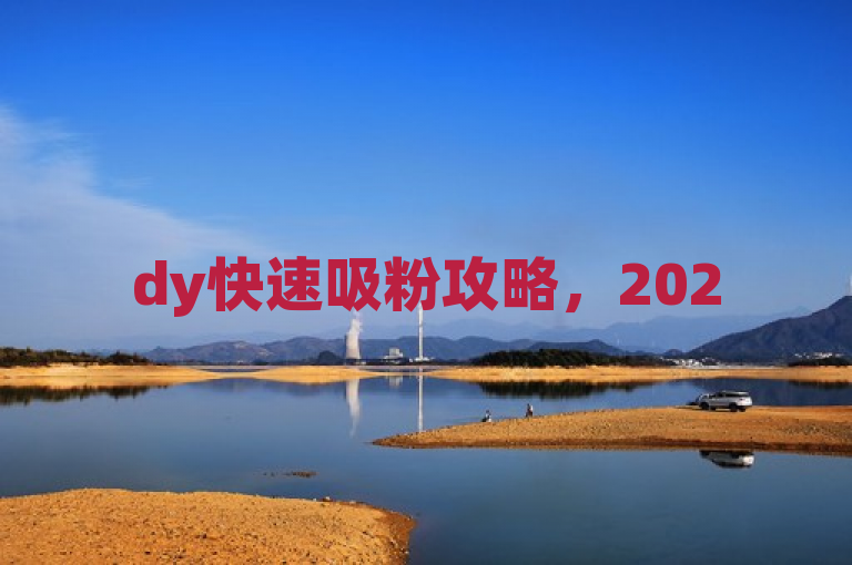 dy快速吸粉攻略，2025必学，独家揭秘助你迅速涨粉。