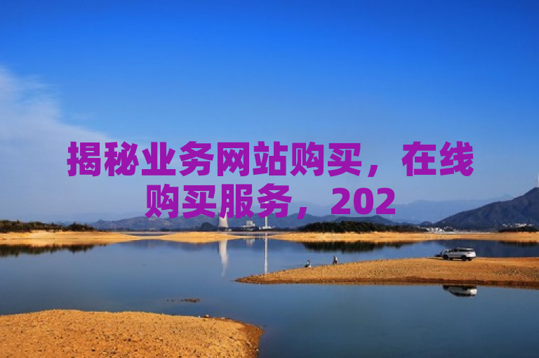 揭秘业务网站购买，在线购买服务，2025必学！