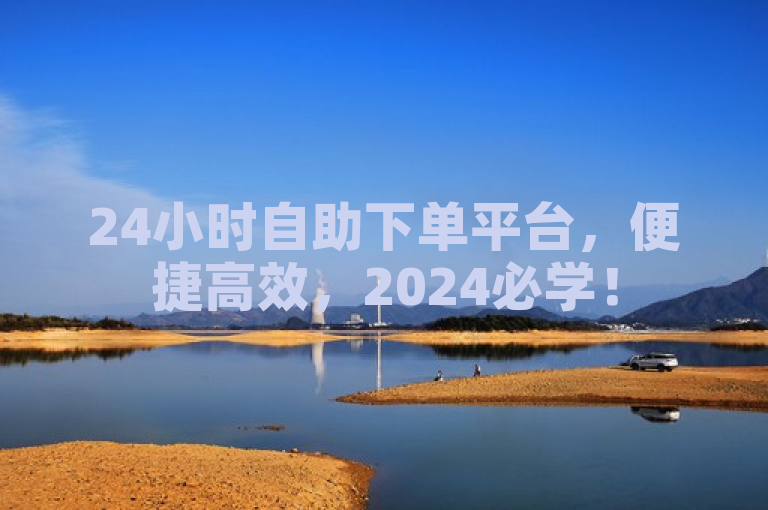 24小时自助下单平台，便捷高效，2024必学！