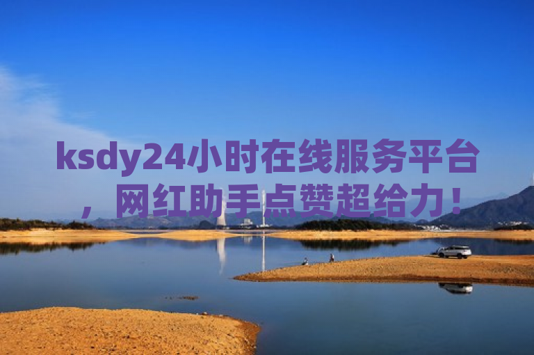 ksdy24小时在线服务平台，网红助手点赞超给力！