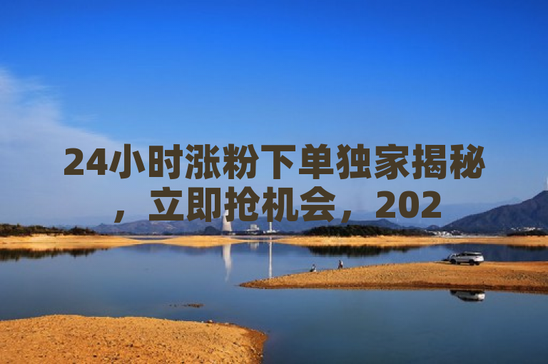 24小时涨粉下单独家揭秘，立即抢机会，2025必学！